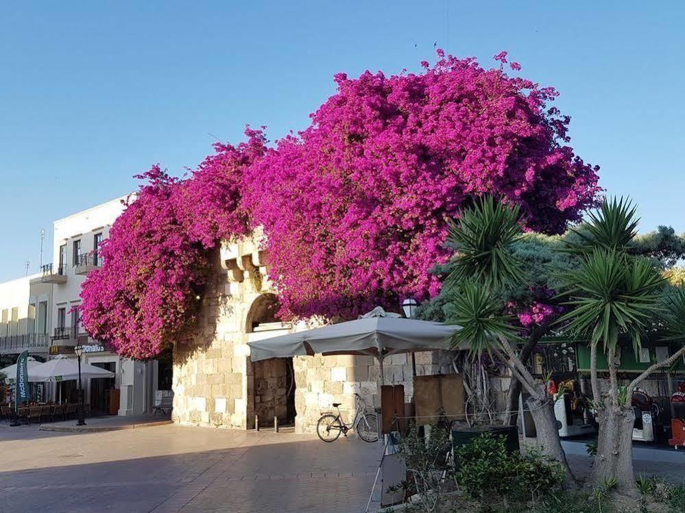Paradise Hotel Cidade de Kos Exterior foto